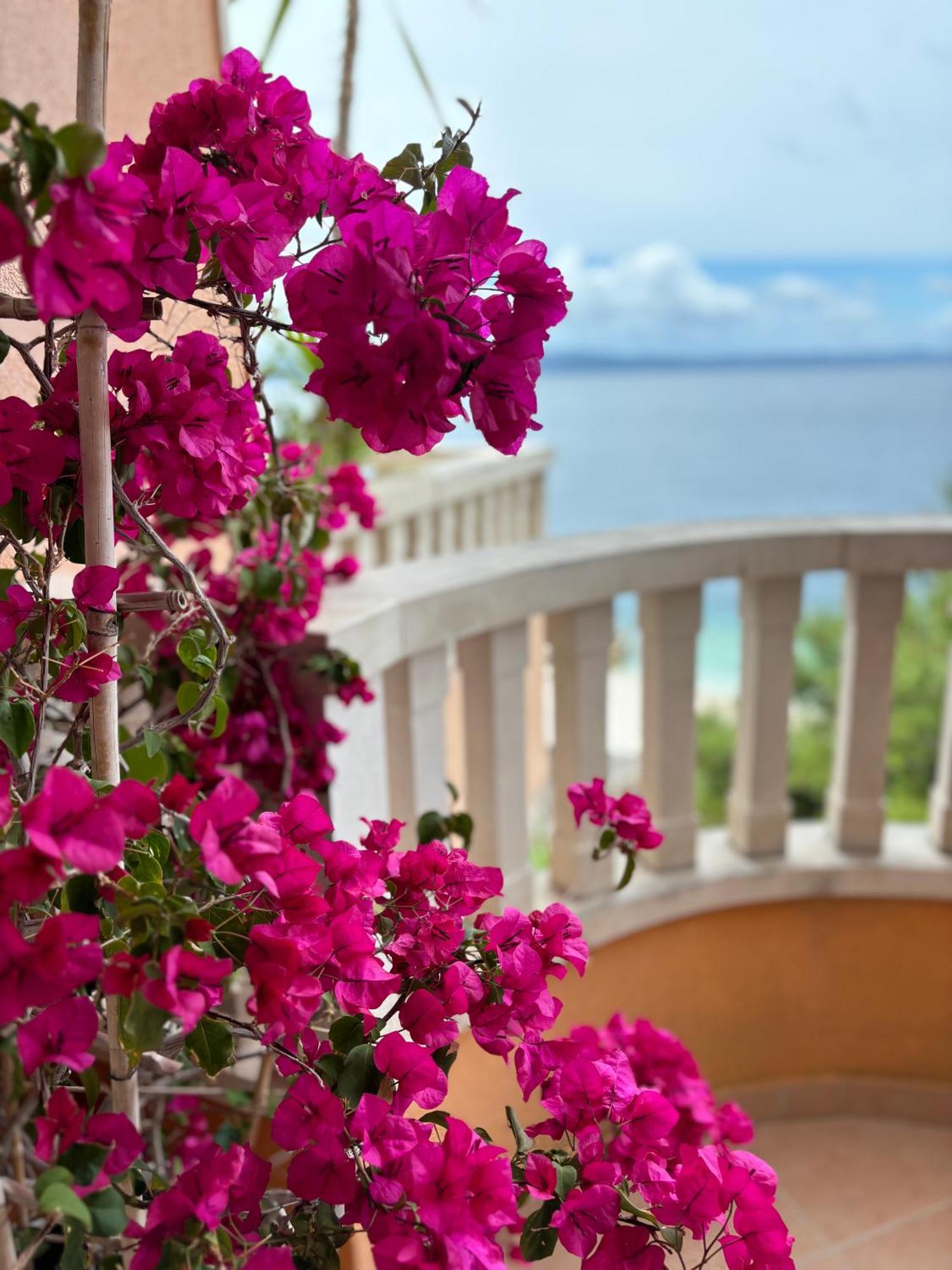 Villa Spomenka Подгора Екстер'єр фото