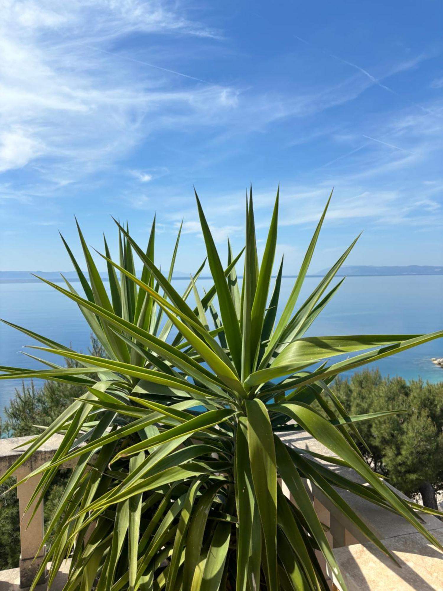 Villa Spomenka Подгора Екстер'єр фото